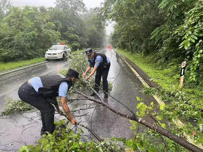 集安市大路边境派出所：民警冒雨清路障畅交