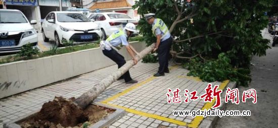 交警全力守护交通平安冒雨清路障排险情保畅通(图2)