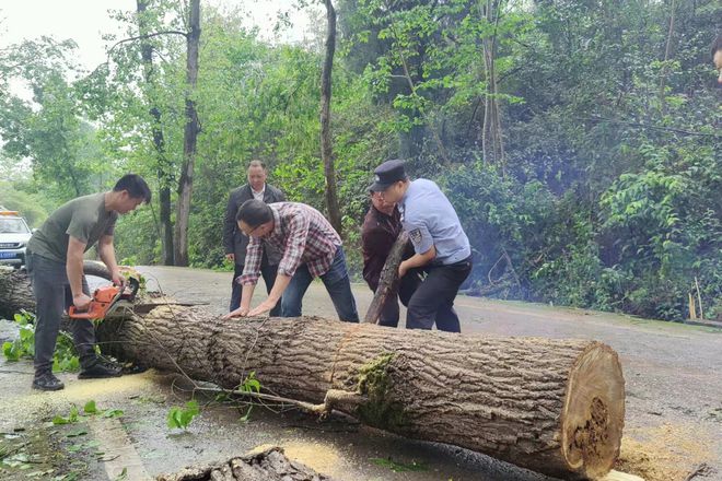 暴雨来袭大足民警清除路障护平安
