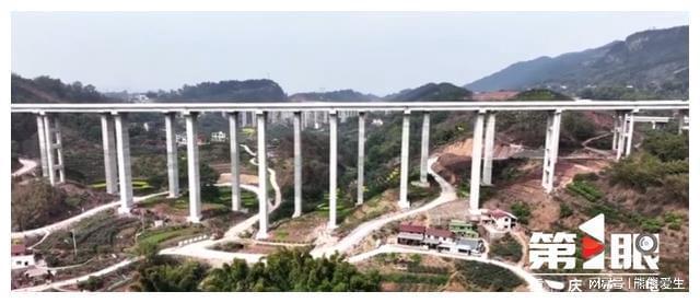 “软联通”助力居民出行！重庆积极推动川渝交通标准化(图5)