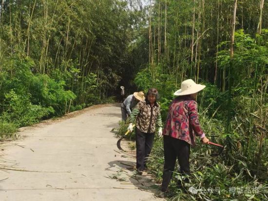 桐城市金神镇：道路“补补妆”乡村“换新颜