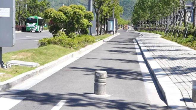 台州多路段大量出现！已有人受伤！该不该设