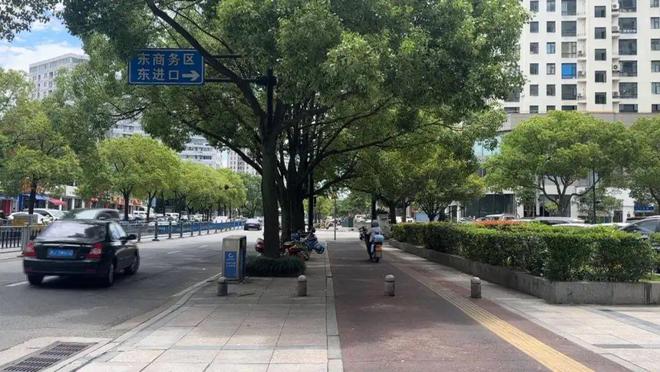 台州多路段大量出现！已有人受伤！该不该设你怎么看？(图6)