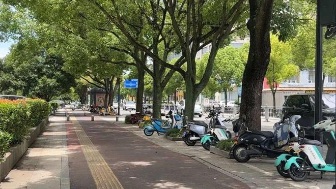 台州多路段大量出现！已有人受伤！该不该设你怎么看？(图9)