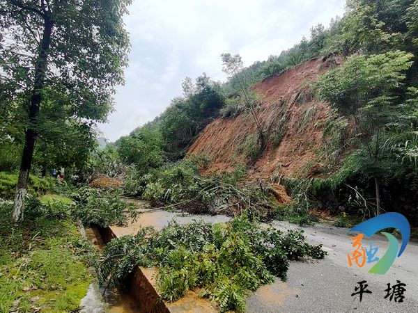 平塘：齐心协力疏道路万众一心保畅通