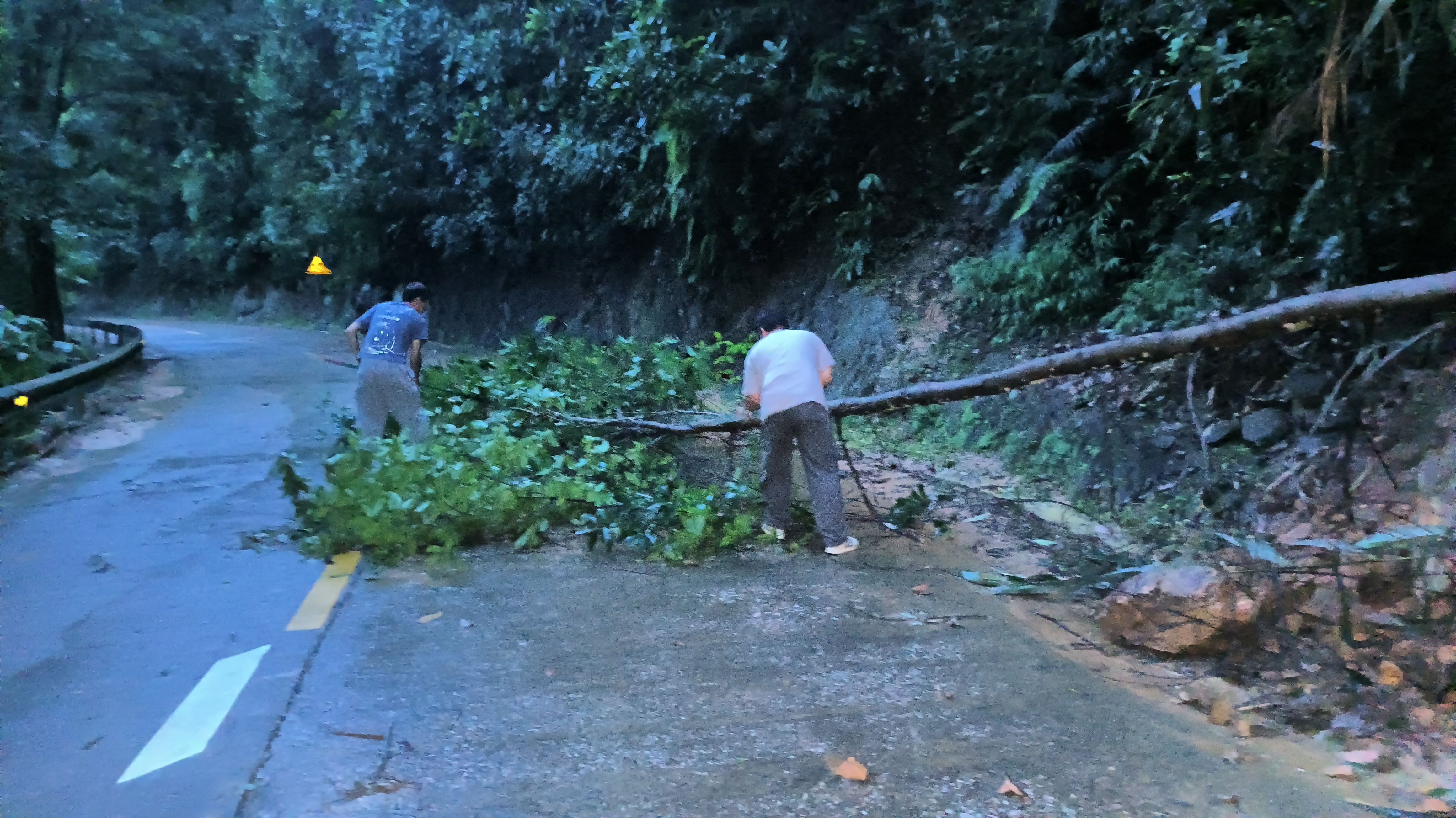 郁南县人民政府门户网站