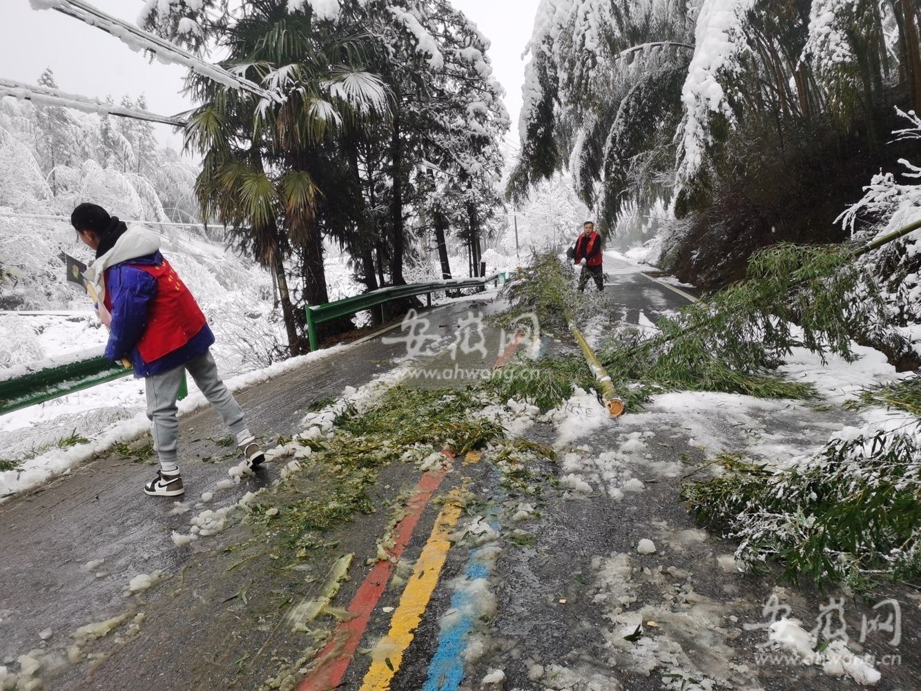 新春走基层｜郎溪：积雪压弯毛竹影响交通村民志愿者清路障(图2)