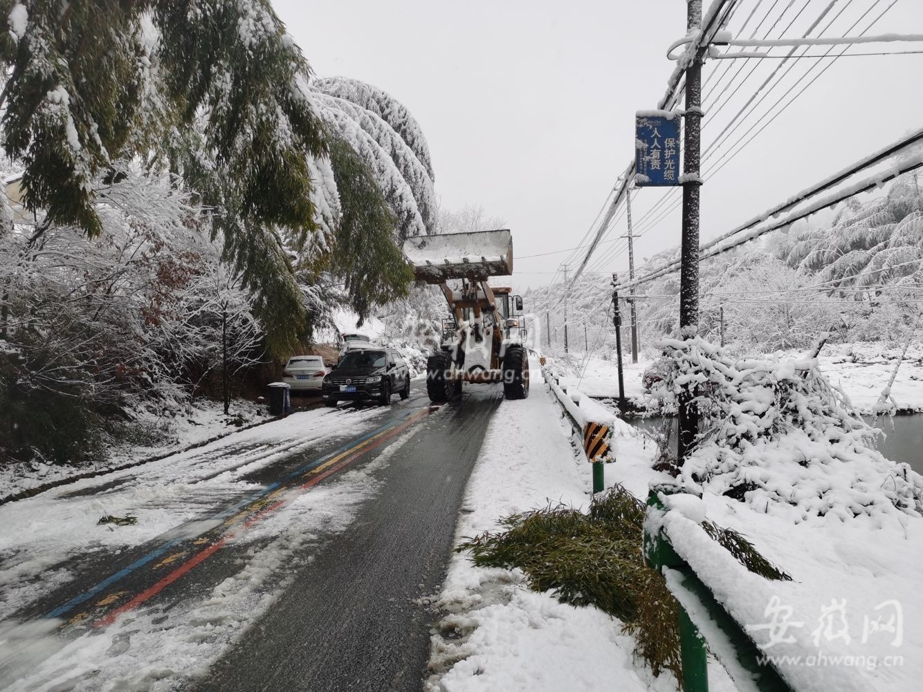新春走基层｜郎溪：积雪压弯毛竹影响交通村