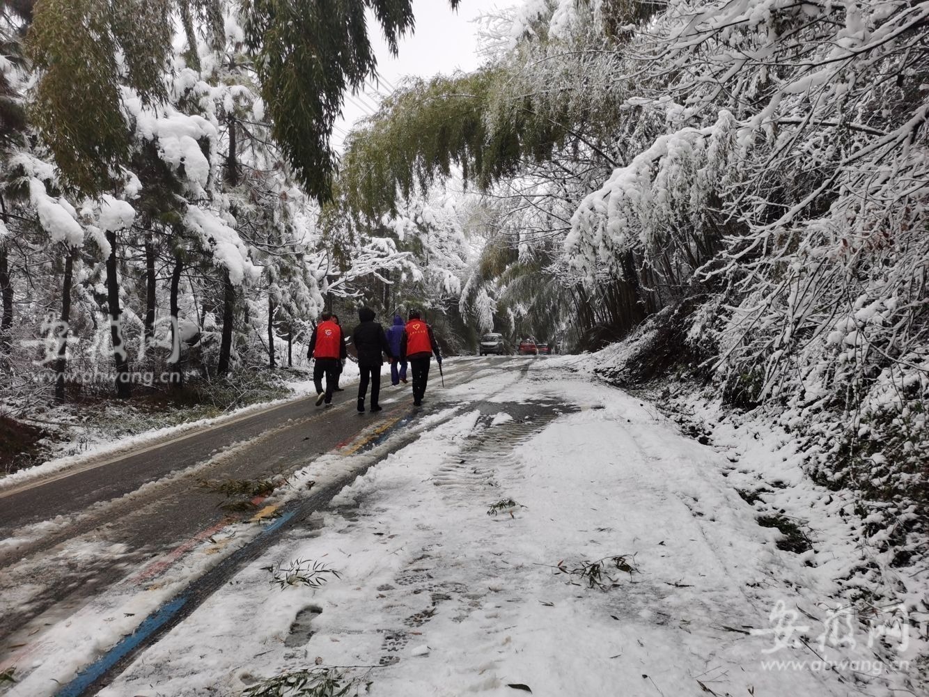 新春走基层｜郎溪：积雪压弯毛竹影响交通村民志愿者清路障(图4)