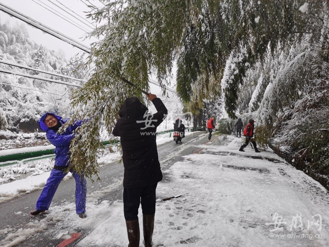 新春走基层｜郎溪：积雪压弯毛竹影响交通村民志愿者清路障(图5)