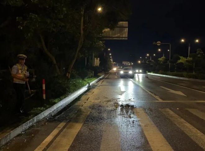 清路障保畅通！贺州公安交警清理树枝除隐患丨正能量(图2)