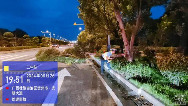 清路障保畅通！贺州公安交警清理树枝除隐患