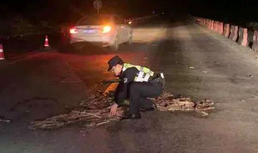 夜幕下的路面忽现“甘蔗路障”？