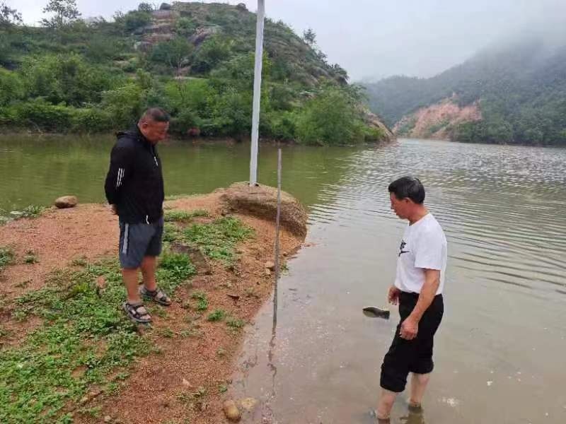 防范强降雨及次生灾害河南6起成功避险案例