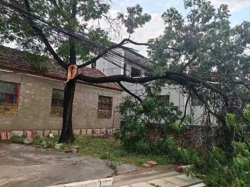 防范强降雨及次生灾害河南6起成功避险案例获应急管理部通报表扬(图2)