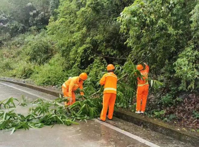 防抗“格美”福建青年在行动!(图14)
