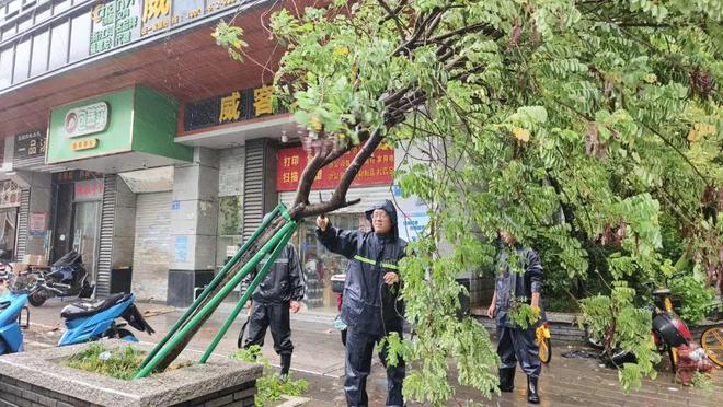 防抗“格美”福建青年在行动!(图15)