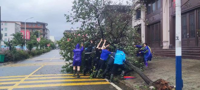 防抗“格美”福建青年在行动!(图17)