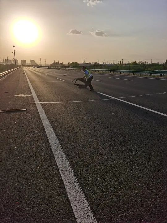 包头一高速路段发生这样一幕！