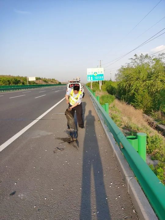 包头一高速路段发生这样一幕!(图4)