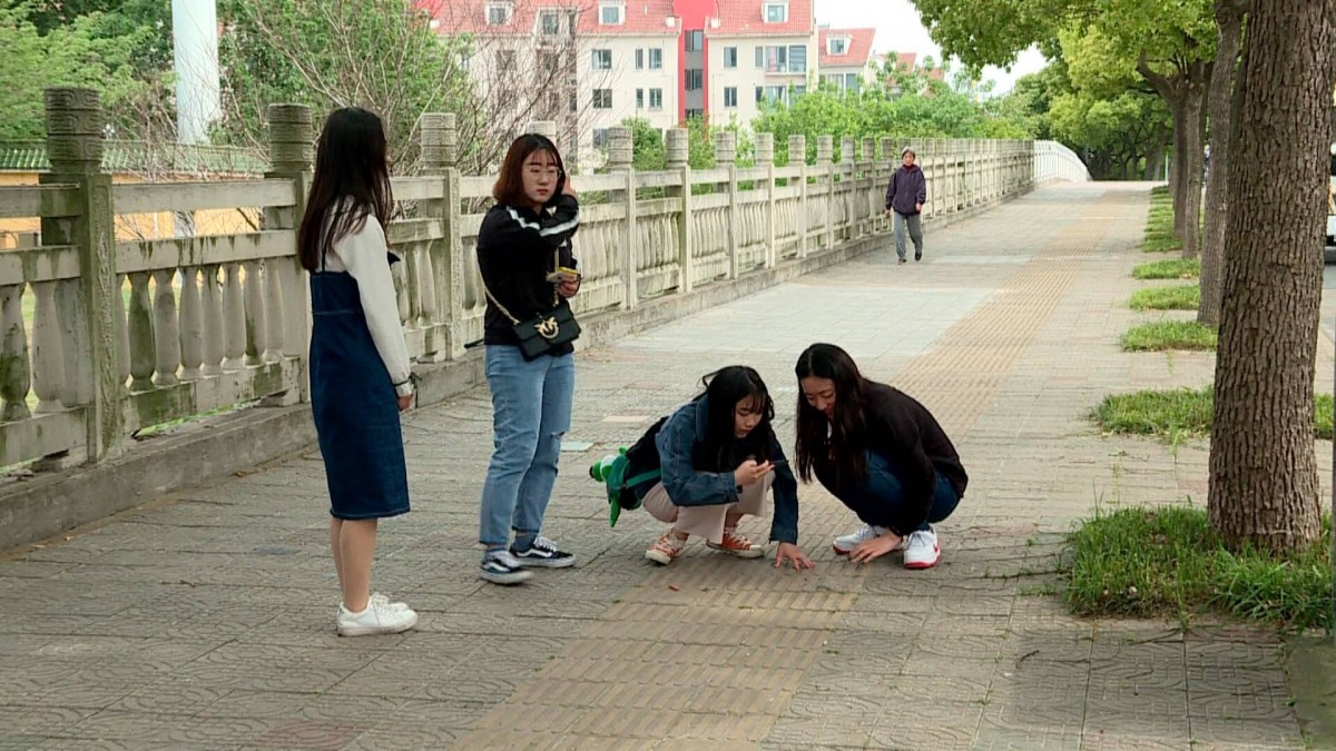 泰州市区盲道问题多：砖块破损、车辆、窨井