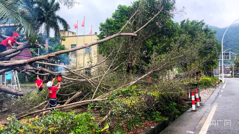 在现场｜直击台风“格美”登陆给福建带来风