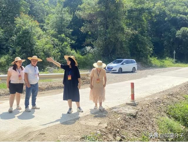 给力！肇庆这里的上山路修好了村民出行更安全！(图3)