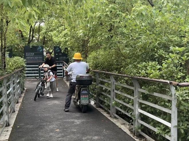 上海市民投诉：这里太危险不久前就发生过车祸！上百人扎堆来骑行安全如何保障？(图6)