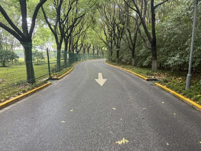上海市民投诉：这里太危险不久前就发生过车祸！上百人扎堆来骑行安全如何保障？(图2)