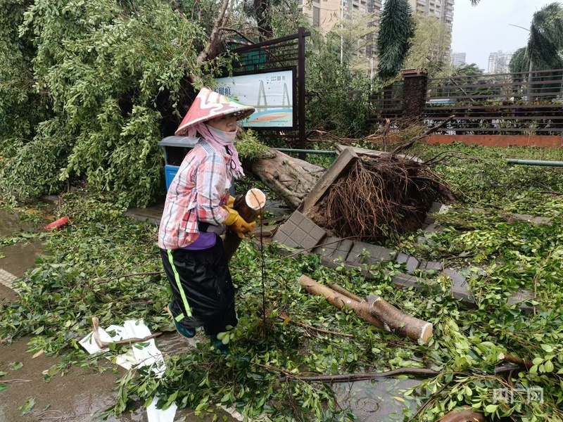 超强台风“摩羯”肆虐后海口市迅速开展灾后