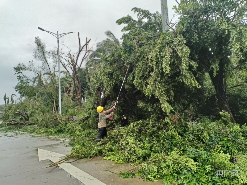 超强台风“摩羯”肆虐后海口市迅速开展灾后重建(图2)