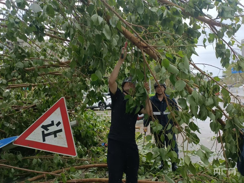 超强台风“摩羯”肆虐后海口市迅速开展灾后重建(图3)