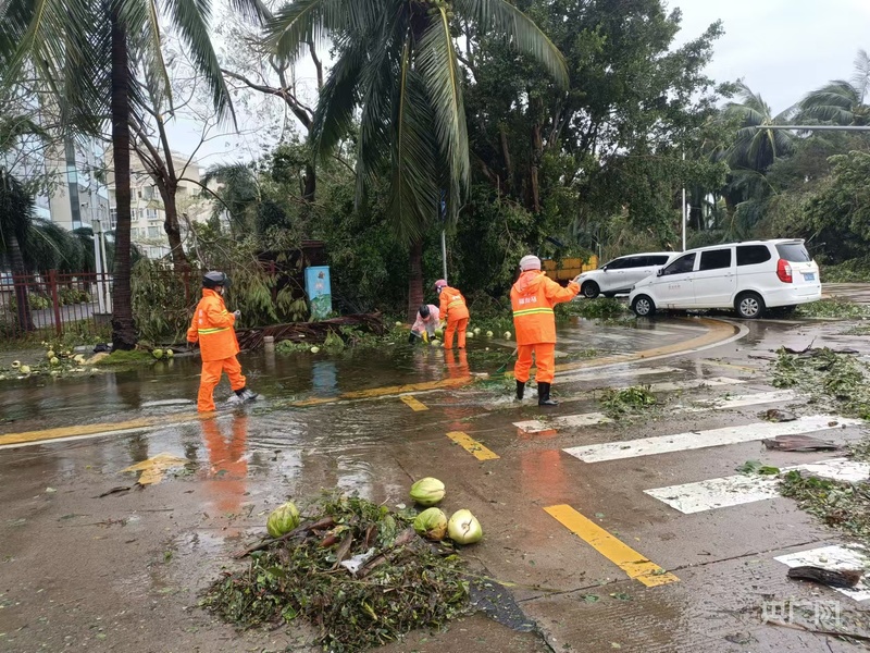 超强台风“摩羯”肆虐后海口市迅速开展灾后重建(图5)
