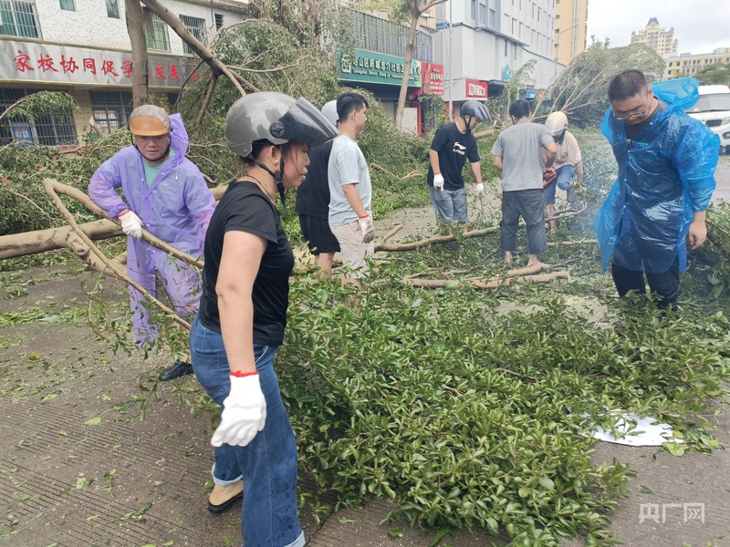 超强台风“摩羯”肆虐后海口市迅速开展灾后重建(图4)