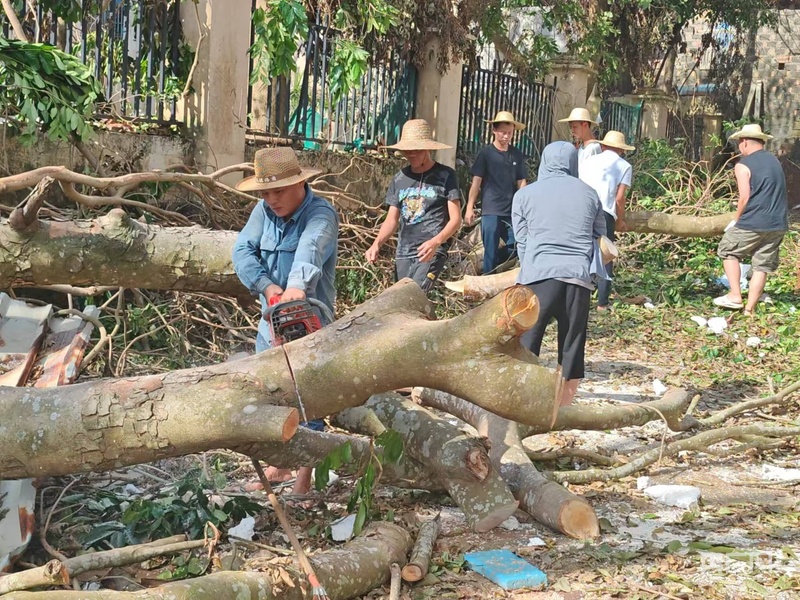 海口复工复产按下“加速键”(图2)