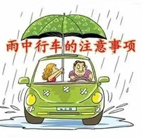 出行提示！台风“贝碧嘉”即将来临奉贤公安