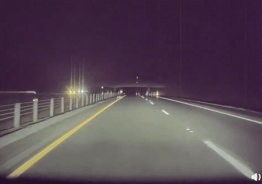 特斯拉高速驾驶突然蹿出一只狼：Autop