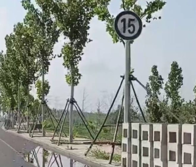 男孩骑行被碾压案司机已被逮捕白血病妻子发声：20万补偿被退回(图7)