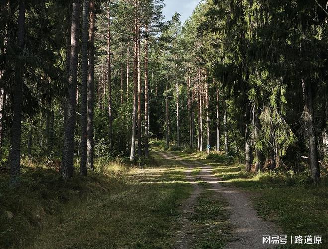 现在为什么没有车匪路霸了是坏人都变好了吗？(图1)