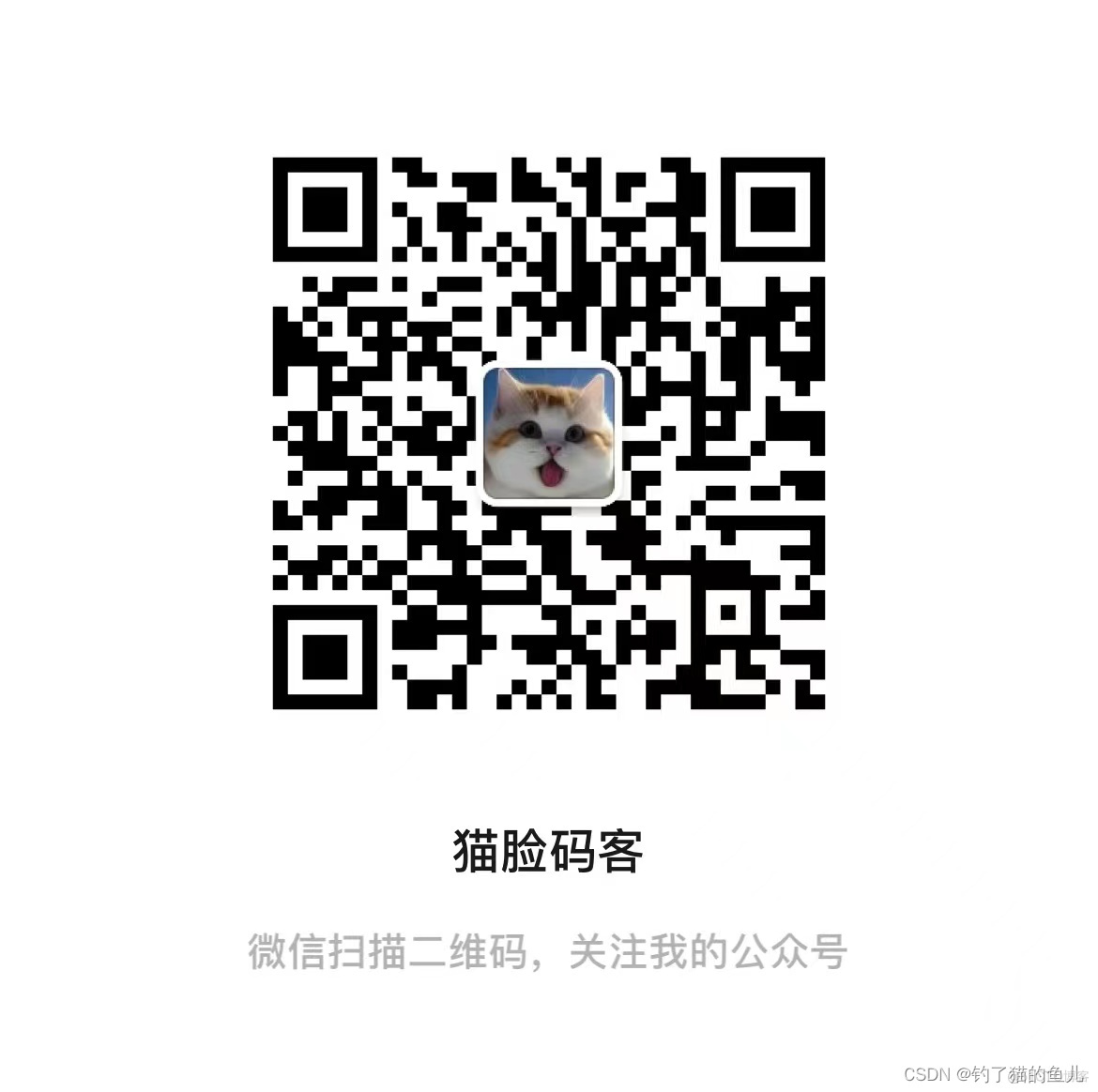 第80期道路障碍物数据集(图2)