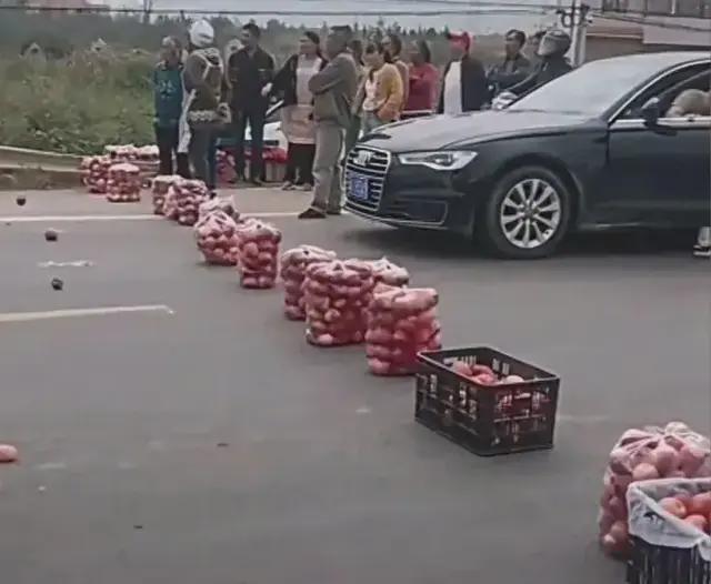 昭通是苹果疯狂、还是人疯狂？