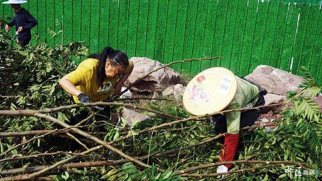 快了！内江这条道路预计11月交验(图3)