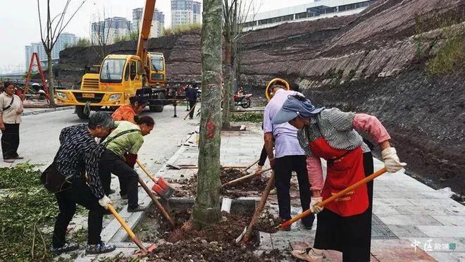 快了！内江这条道路预计11月交验(图2)