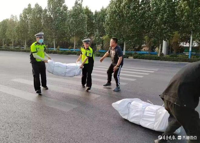 货物掉路面影响通行莘县执勤交警及时清理