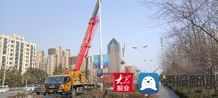 菏泽经济开发区园林组织长江路绿化带路障清理全力保障快速通道建设_开发区_大众网(图1)