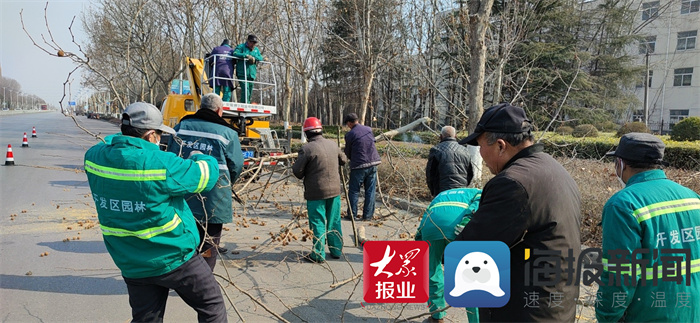 菏泽经济开发区园林组织长江路绿化带路障清理全力保障快速通道建设_开发区_大众网(图2)