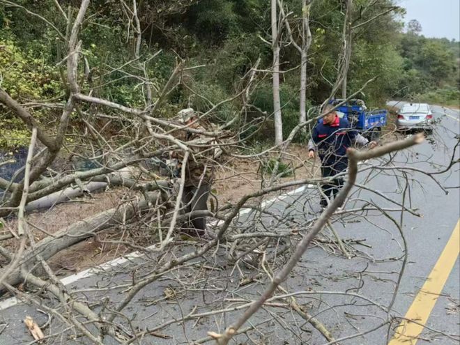 大悟“别样”色彩护路忙(图2)