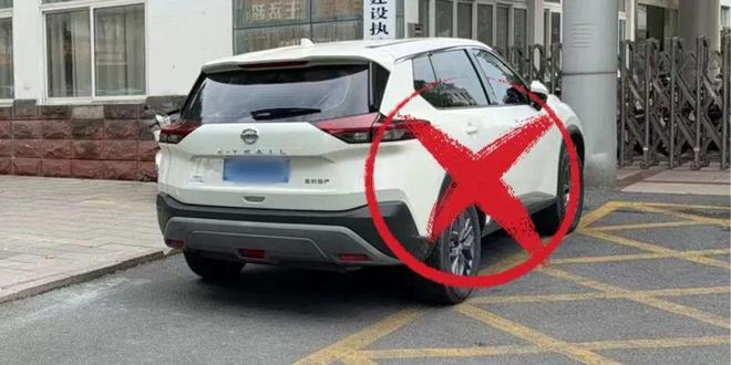 速来认领！仪征司机你的爱车可能被(图5)