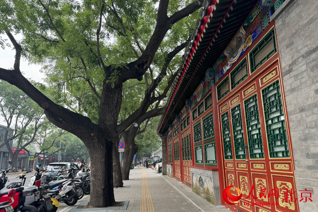 700余年历史老街焕新老舍笔下“北京最美大街”重现往昔芳华(图2)