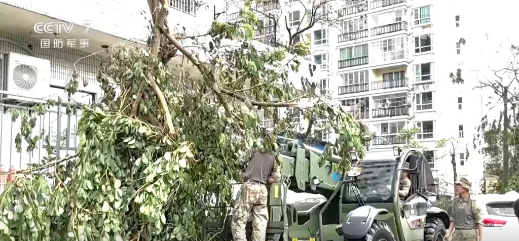 疏通道路、转移群众、灾后重建……抗击台风